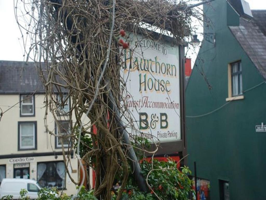 Hawthorn House Guesthouse Kenmare Exterior foto